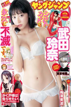 鲁邦三世